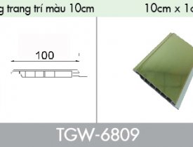 Đường nối trang trí màu 10cm TGW-6809